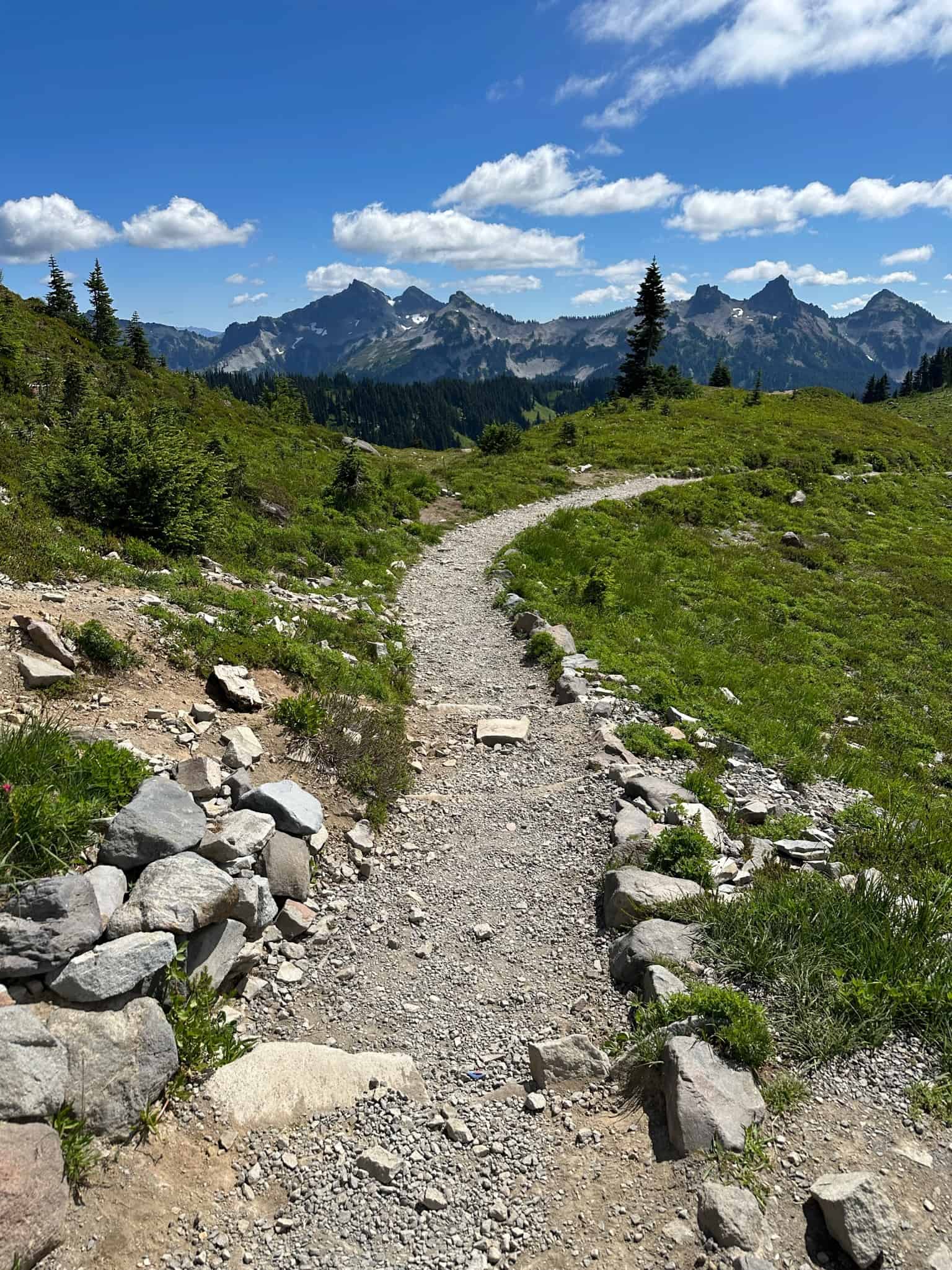 Mt Rainier Skyline Trail