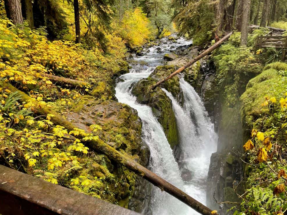 Camping at Sol Duc Hot Springs: A Scenic and Relaxing Getaway