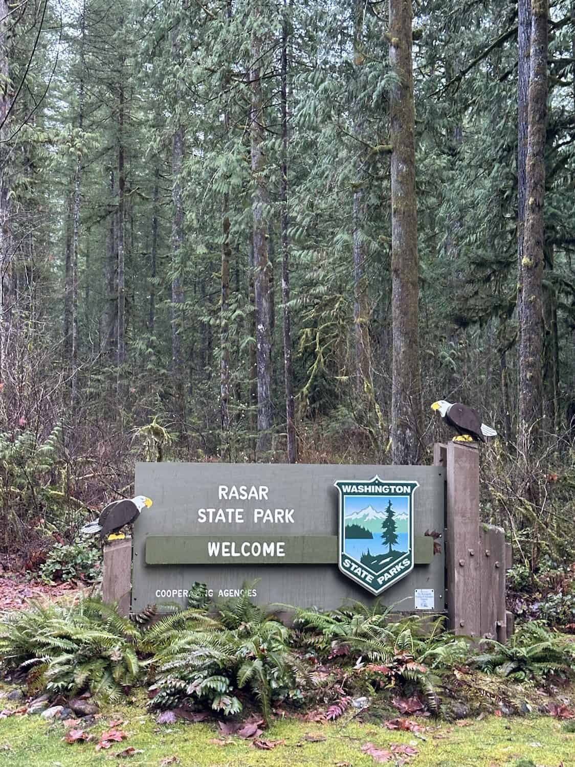 rasar state park camping